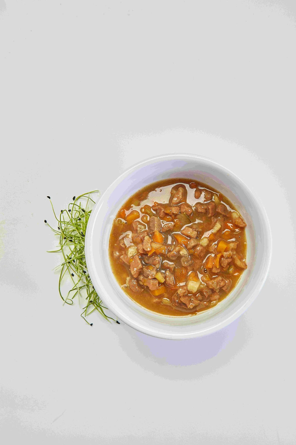 Sopa de Legumes com Carne - com sal